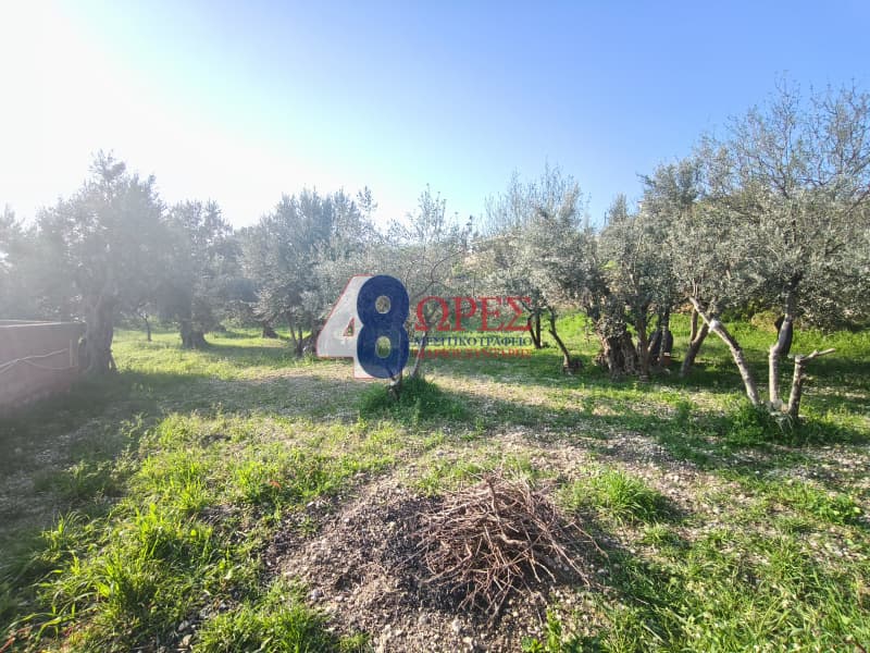Οικόπεδο στην Πόλη Χίου, Χίος — Φωτογραφία 13 από 13
