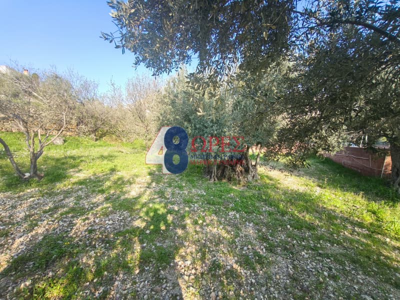 Οικόπεδο στην Πόλη Χίου, Χίος — Φωτογραφία 8 από 13