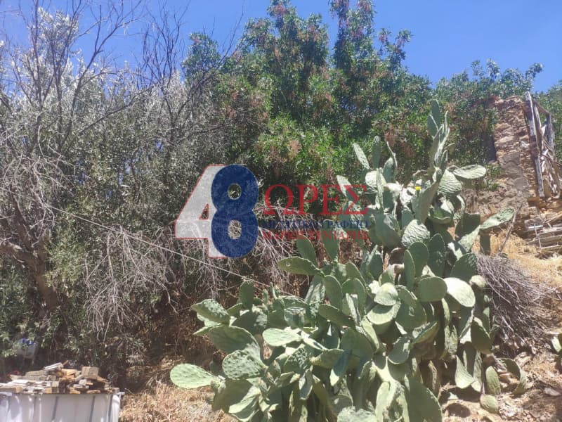 Οικόπεδο στην Πόλη Χίου, Χίος — Φωτογραφία 5 από 5