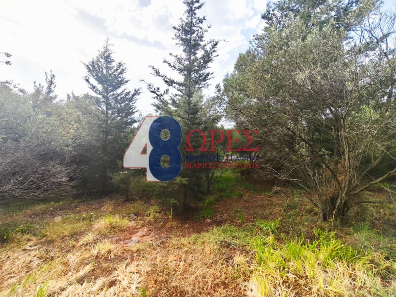 Οικόπεδο στην Πόλη Χίου, Χίος — Φωτογραφία 9 από 11