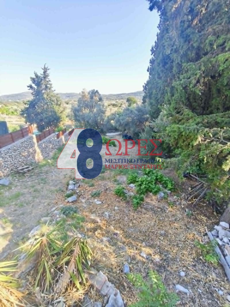 House in Kampochoria, Chios — Photo 20 of 20