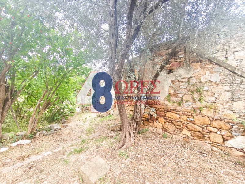 Οικόπεδο στην Άγιος Μηνάς, Χίος — Φωτογραφία 13 από 16