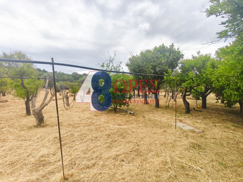 Οικόπεδο στην Άγιος Μηνάς, Χίος — Φωτογραφία 3 από 16