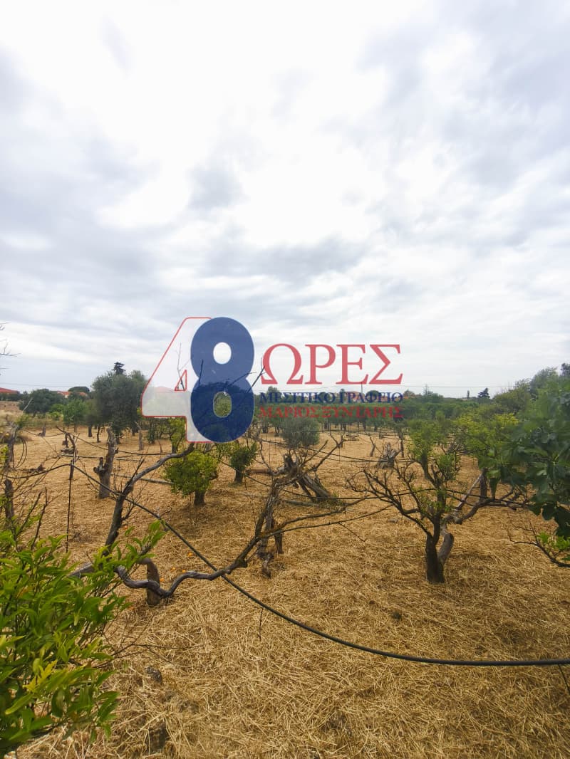 Οικόπεδο στην Άγιος Μηνάς, Χίος — Φωτογραφία 10 από 16