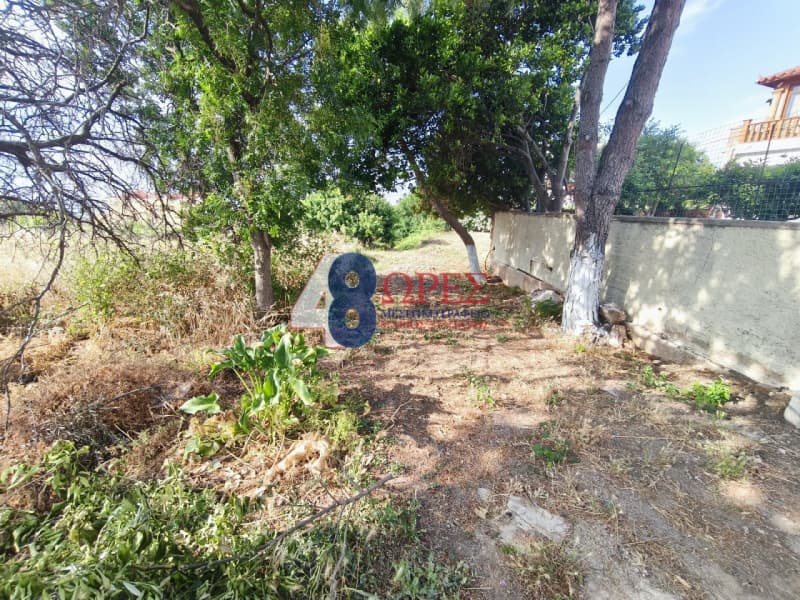Οικόπεδο στην Άγιος Μηνάς, Χίος — Φωτογραφία 23 από 23