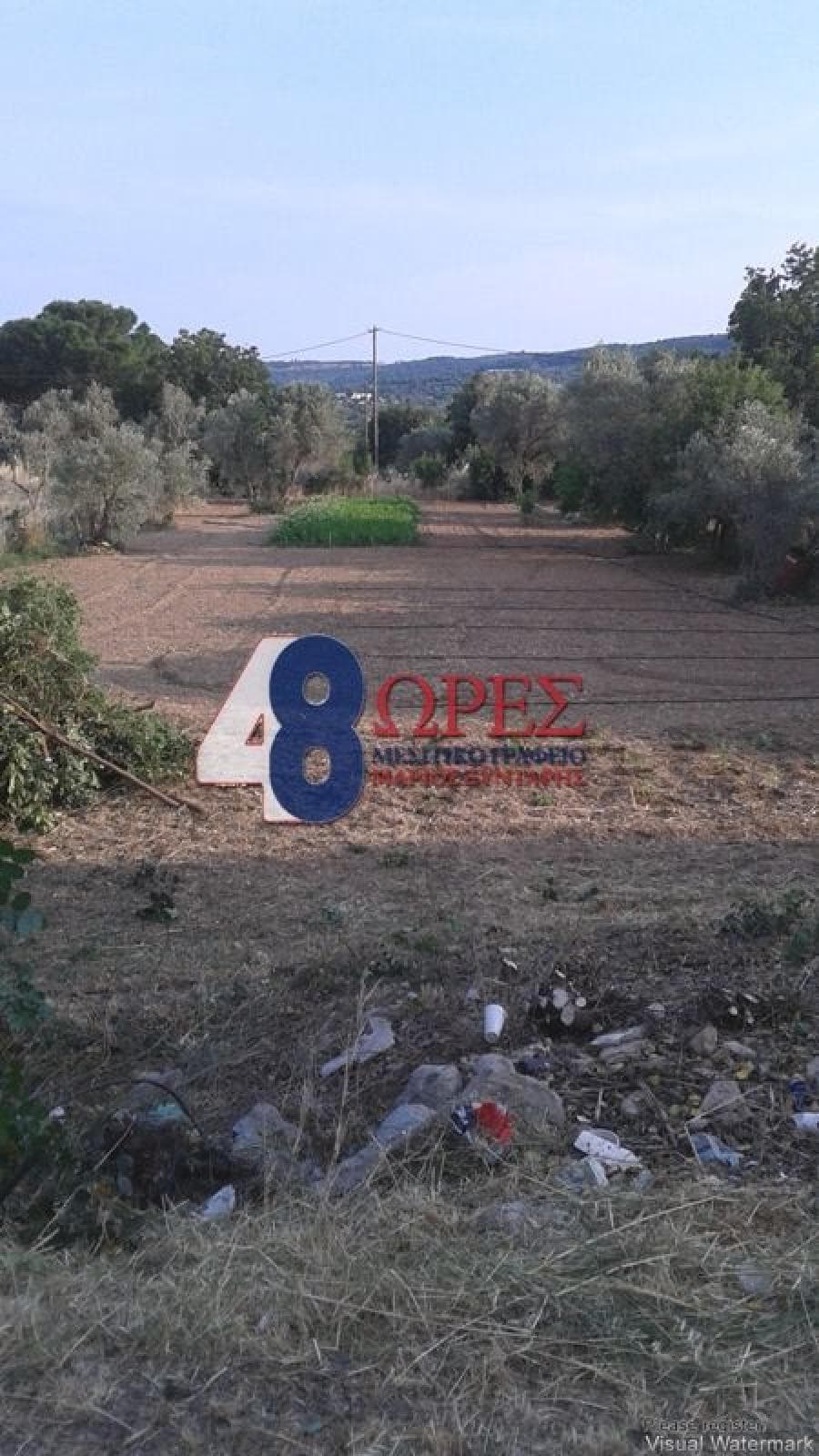Building Plot in Kampochoria, Chios — Photo 4 of 8