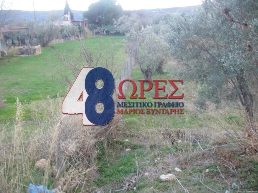 Building Plot in Kampochoria, Chios — Photo 8 of 8