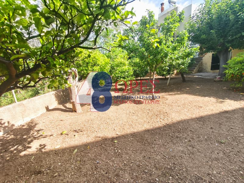 Μονοκατοικία στην Πόλη Χίου, Χίος — Φωτογραφία 9 από 12