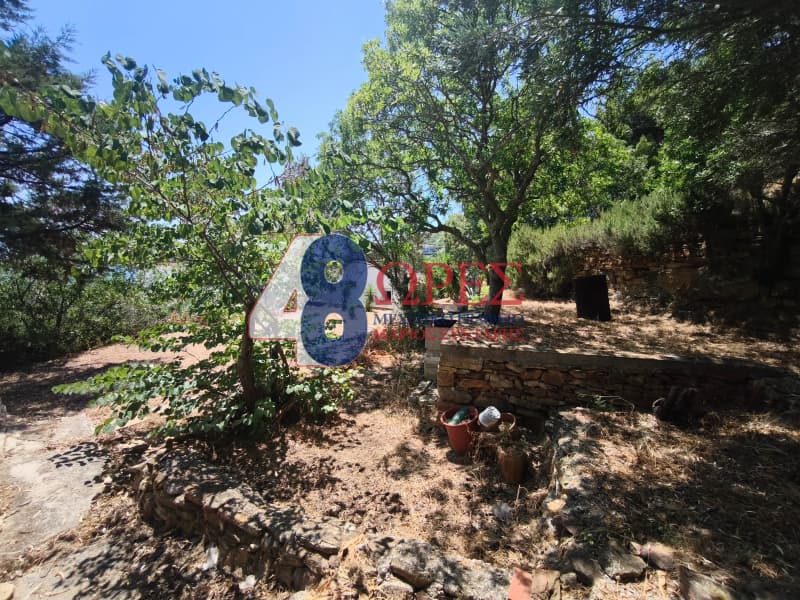 Μονοκατοικία στην Άγιος Μηνάς, Χίος — Φωτογραφία 26 από 30