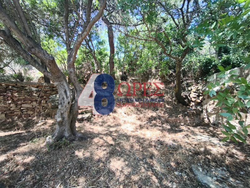 Μονοκατοικία στην Άγιος Μηνάς, Χίος — Φωτογραφία 28 από 30