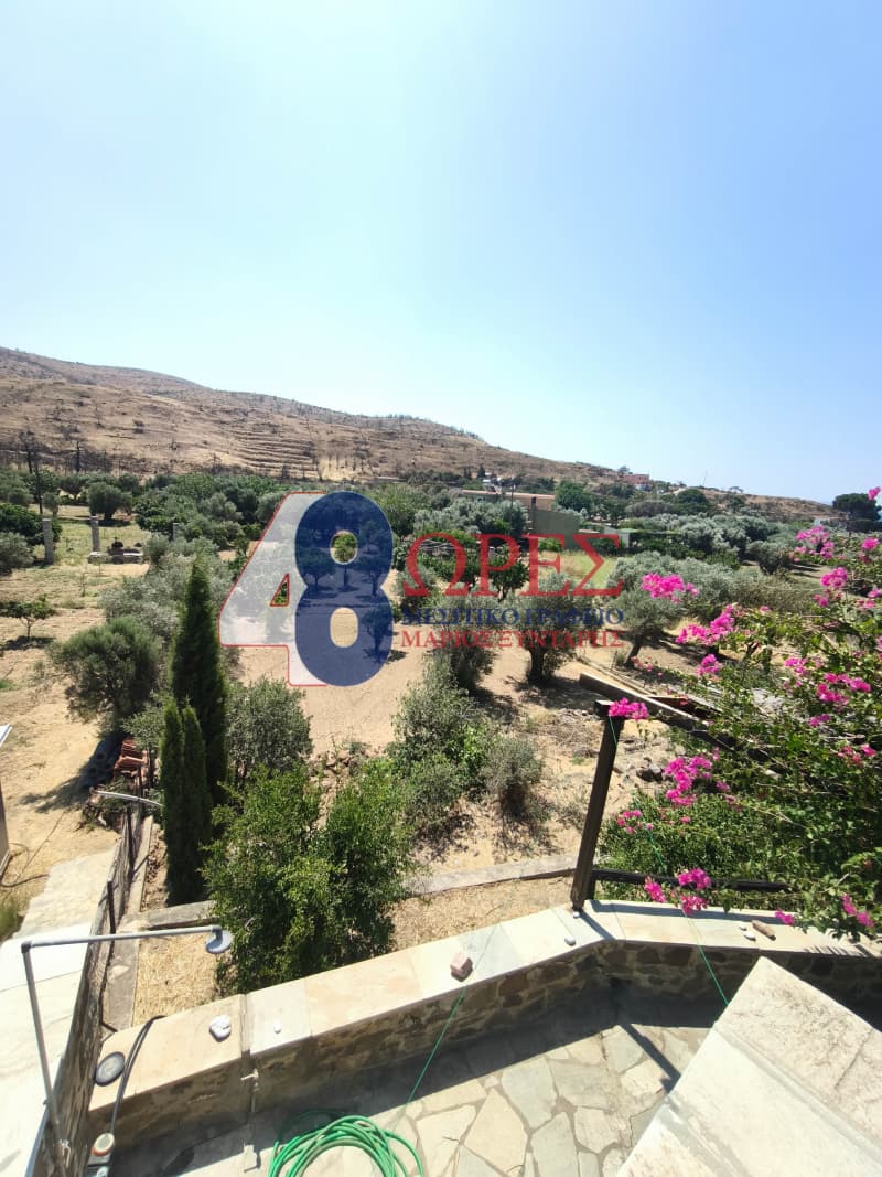 Μονοκατοικία στην Αμάνη, Χίος — Φωτογραφία 22 από 30