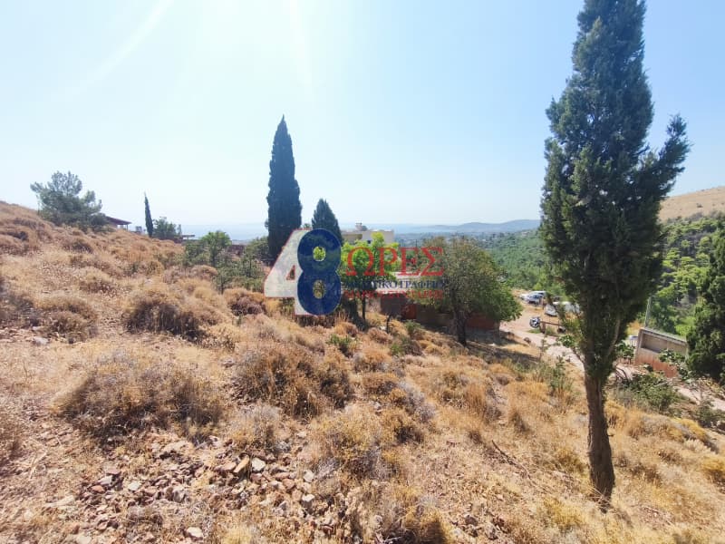 Οικόπεδο στην Πόλη Χίου, Χίος — Φωτογραφία 7 από 20