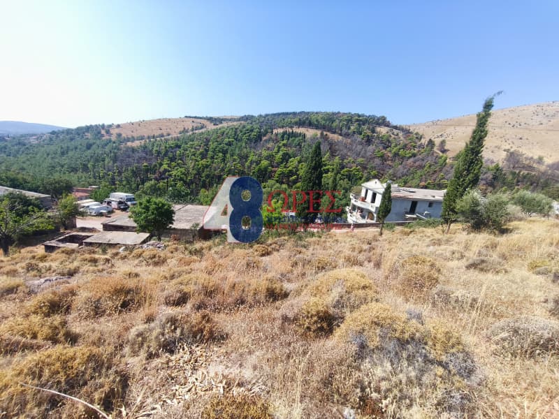 Οικόπεδο στην Πόλη Χίου, Χίος — Φωτογραφία 10 από 20
