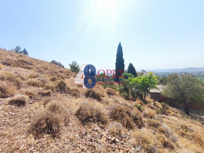 Οικόπεδο στην Πόλη Χίου, Χίος — Φωτογραφία 8 από 20