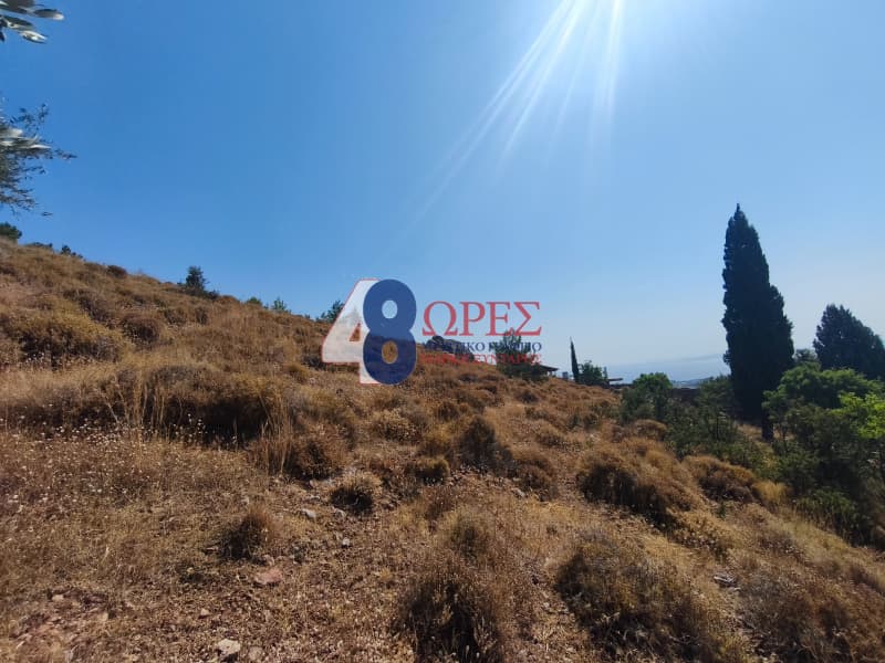 Οικόπεδο στην Πόλη Χίου, Χίος — Φωτογραφία 9 από 20