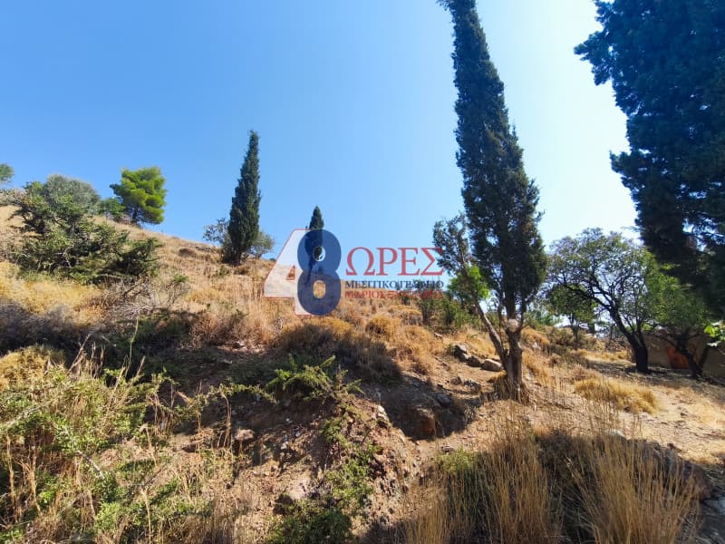 Οικόπεδο στην Πόλη Χίου, Χίος — Φωτογραφία 5 από 20