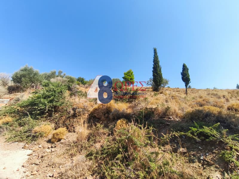 Οικόπεδο στην Πόλη Χίου, Χίος — Φωτογραφία 4 από 20