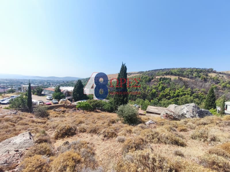 Οικόπεδο στην Πόλη Χίου, Χίος — Φωτογραφία 3 από 20