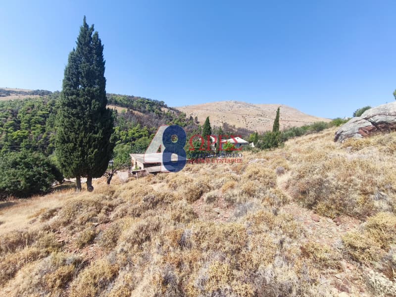 Οικόπεδο στην Πόλη Χίου, Χίος — Φωτογραφία 16 από 20