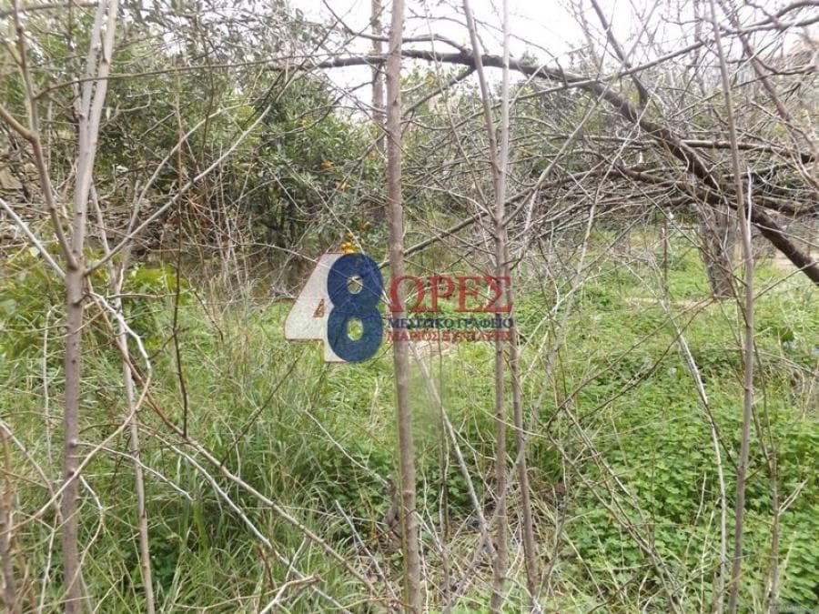 Building Plot in Chios town, Chios — Photo 3 of 6