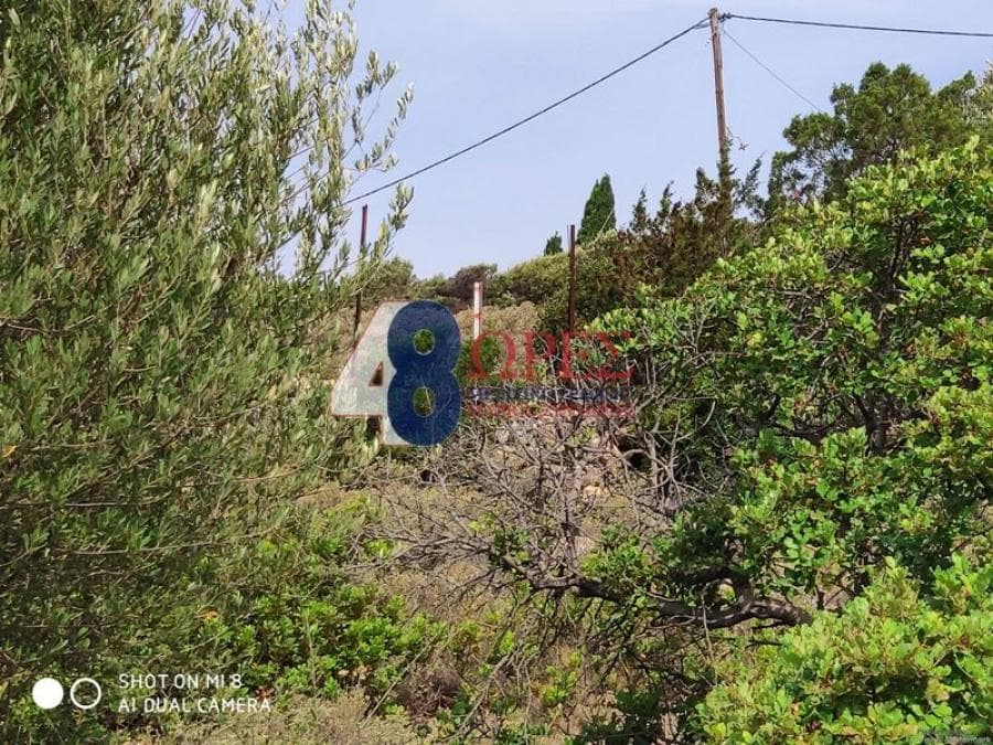 Building Plot in Mastichochoria, Chios — Photo 5 of 15