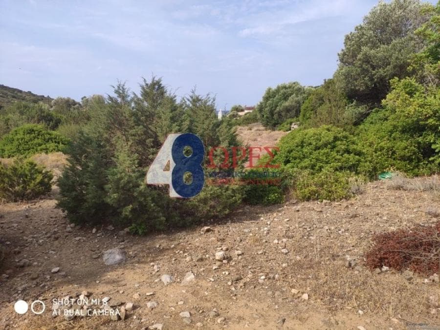 Building Plot in Mastichochoria, Chios — Photo 6 of 15