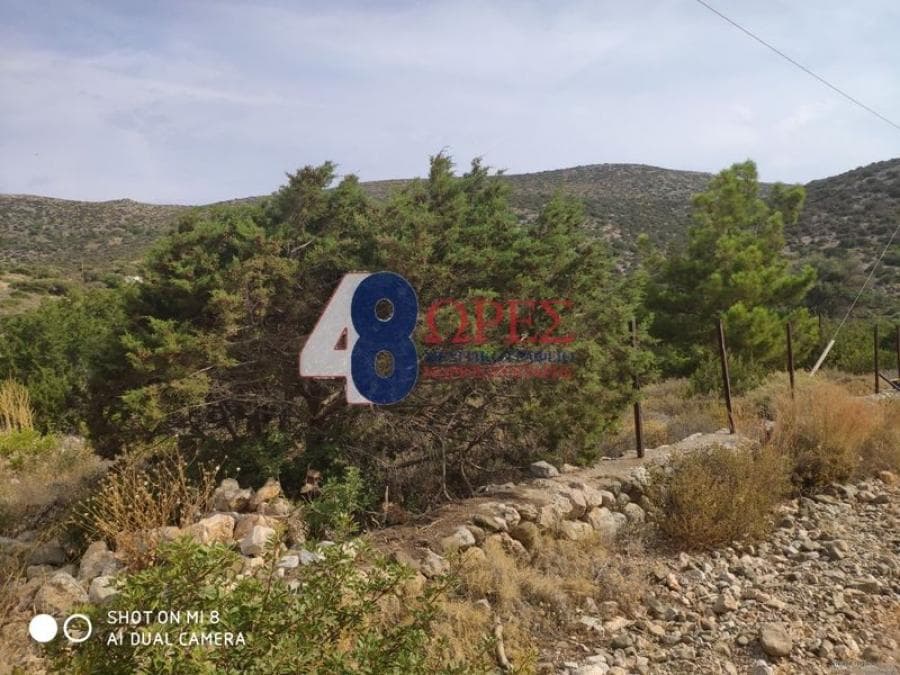 Building Plot in Mastichochoria, Chios — Photo 11 of 15