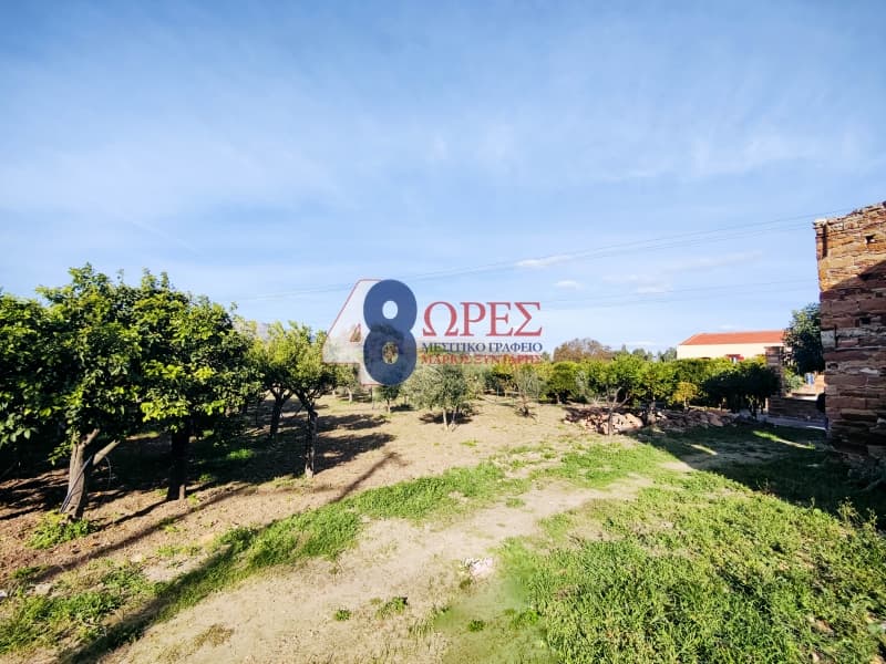 Building Plot in Agios Minas, Chios — Photo 8 of 30