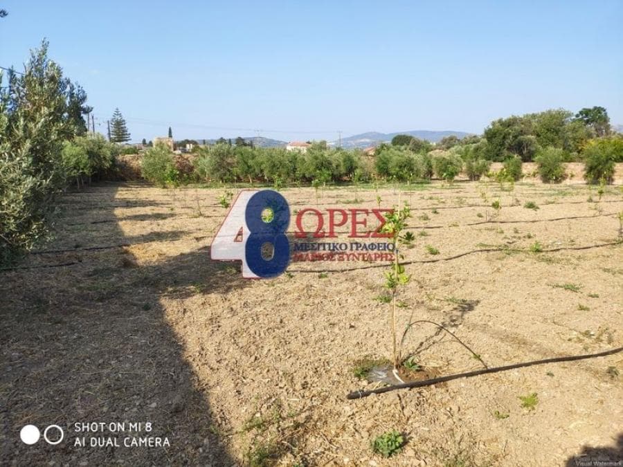Building Plot in Agios Minas, Chios — Photo 19 of 30