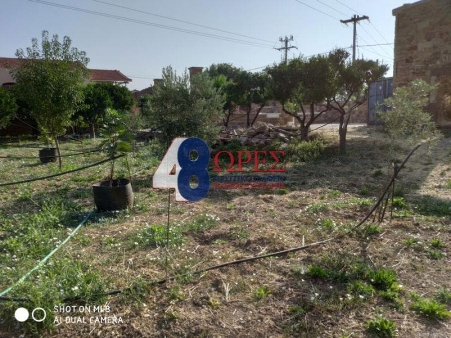 Building Plot in Agios Minas, Chios — Photo 24 of 30
