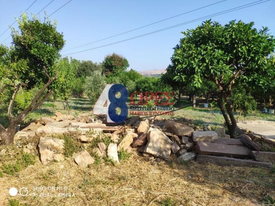 Building Plot in Agios Minas, Chios — Photo 12 of 30