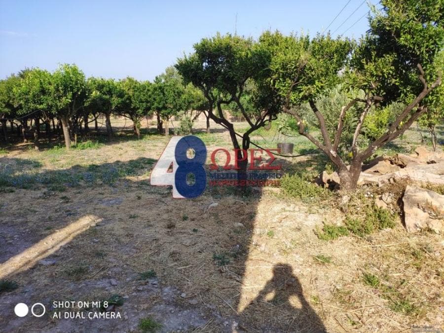 Building Plot in Agios Minas, Chios — Photo 13 of 30