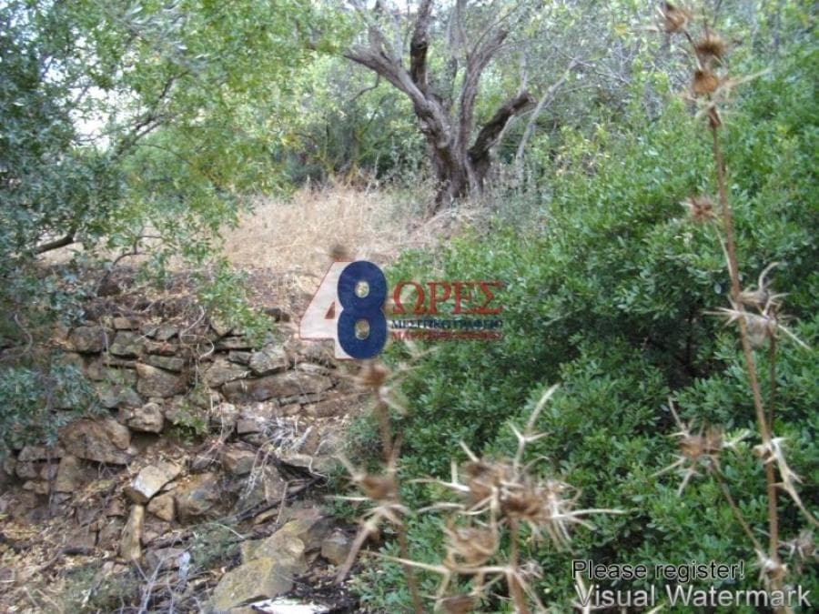 Building Plot in Agios Minas, Chios — Photo 5 of 5