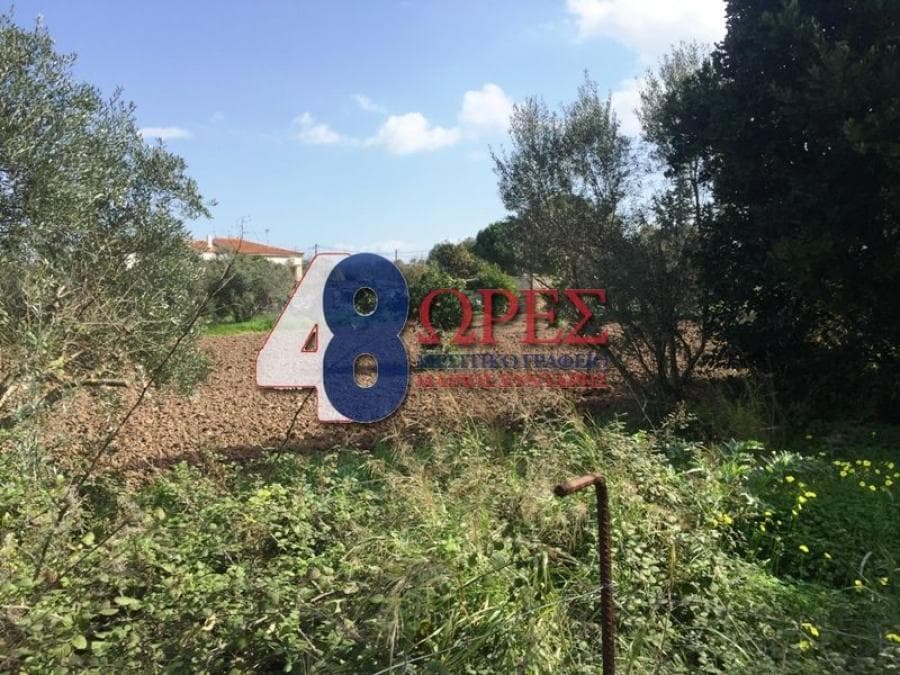 Building Plot in Agios Minas, Chios — Photo 1 of 13