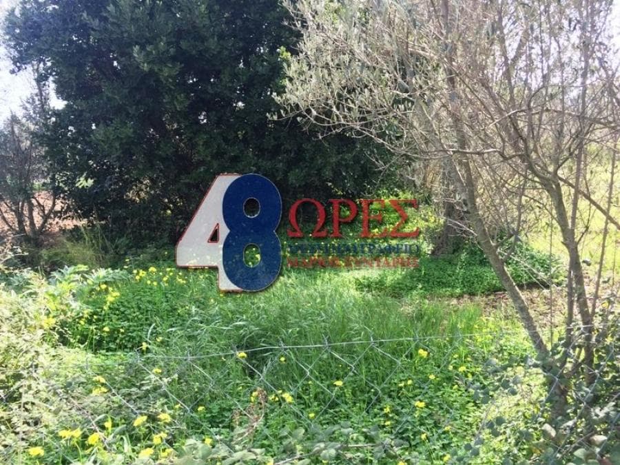 Building Plot in Agios Minas, Chios — Photo 2 of 13