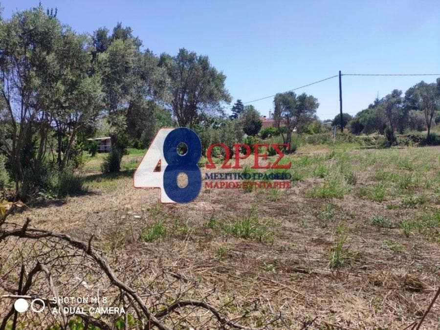Building Plot in Agios Minas, Chios — Photo 6 of 13