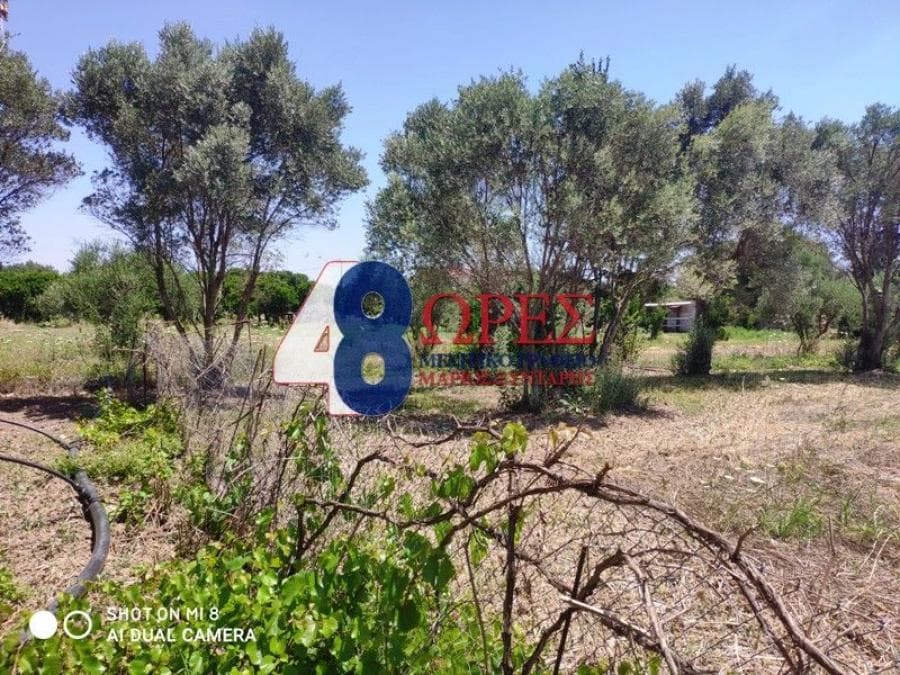Building Plot in Agios Minas, Chios — Photo 7 of 13