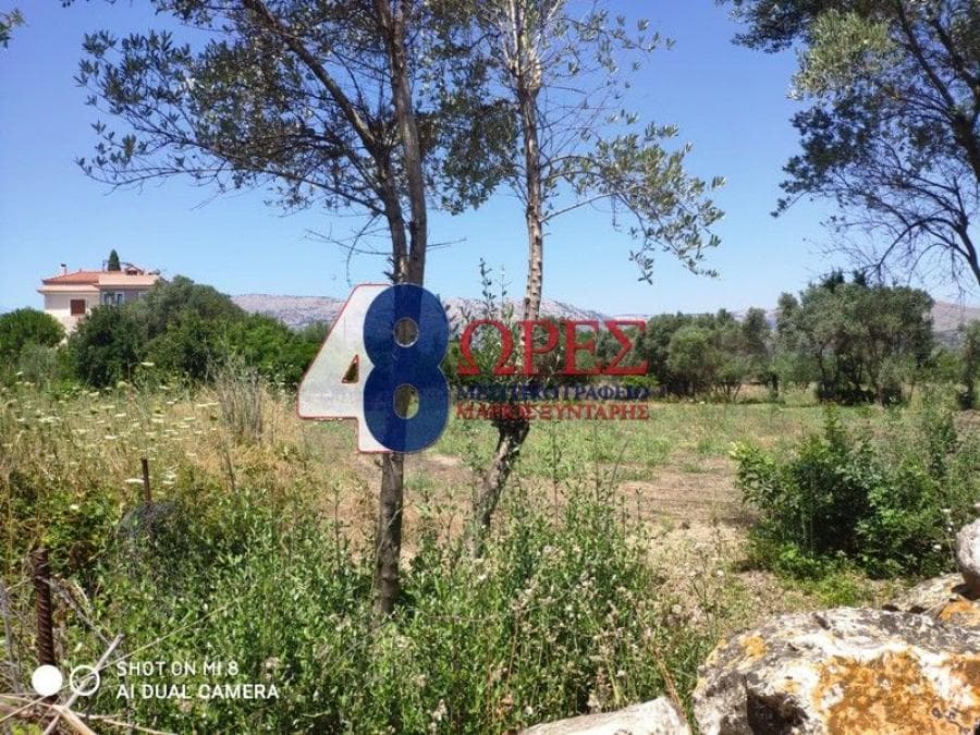 Building Plot in Agios Minas, Chios — Photo 9 of 13