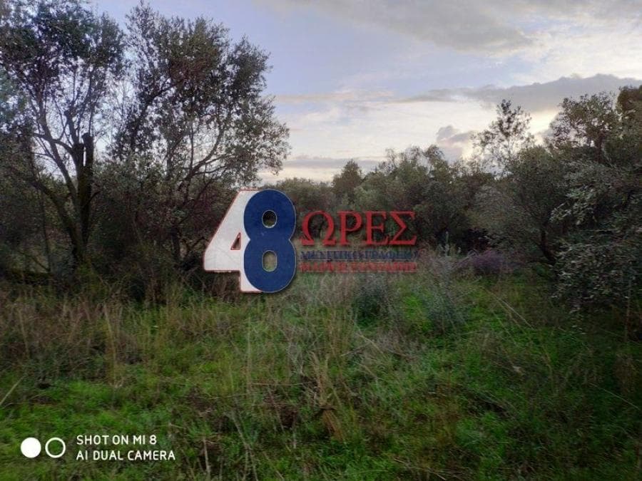 Building Plot in Chios town, Chios — Photo 2 of 8