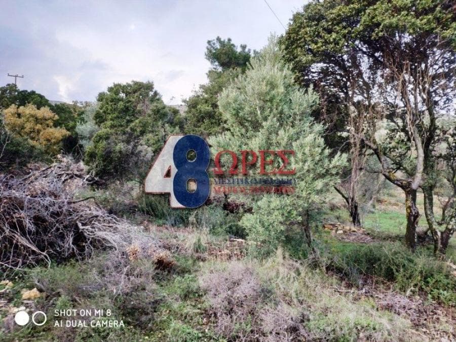 Building Plot in Chios town, Chios — Photo 6 of 8