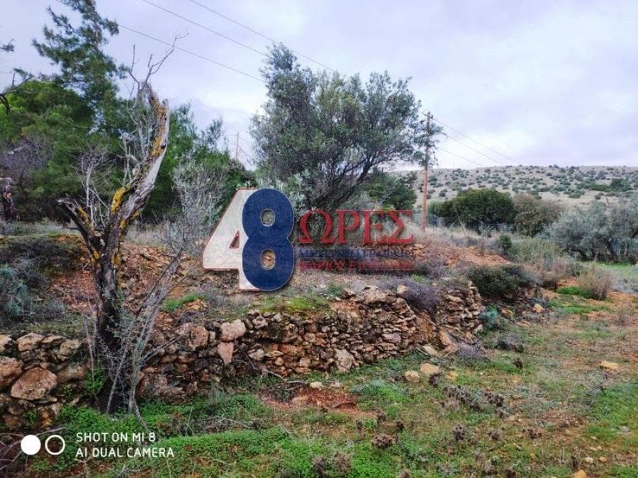 Building Plot in Chios town, Chios — Photo 8 of 8