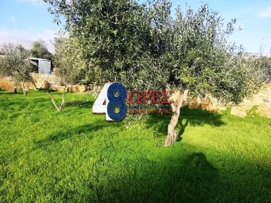 Building Plot in Omiroupoli, Chios — Photo 11 of 17