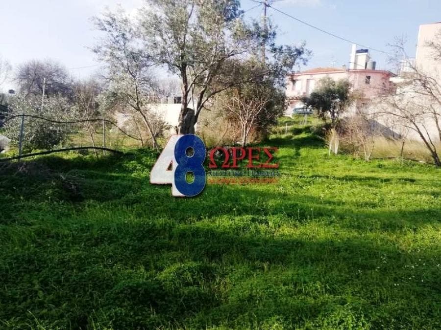 Building Plot in Omiroupoli, Chios — Photo 12 of 17