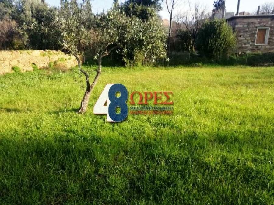 Building Plot in Omiroupoli, Chios — Photo 14 of 17
