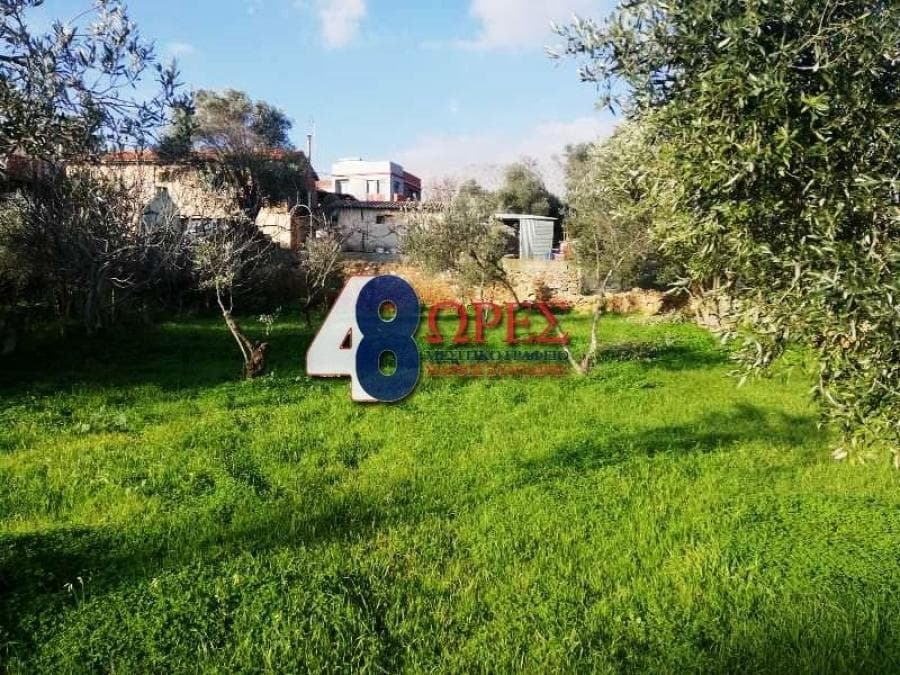 Building Plot in Omiroupoli, Chios — Photo 17 of 17
