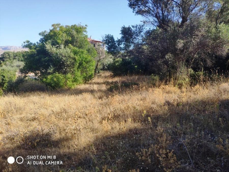 Building Plot in Agios Minas, Chios — Photo 1 of 7