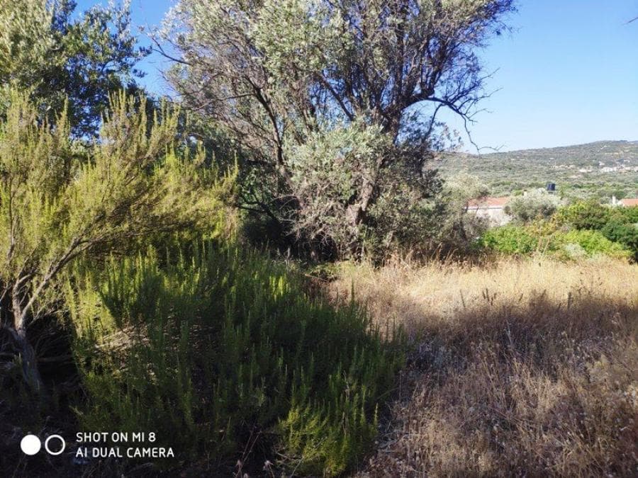 Building Plot in Agios Minas, Chios — Photo 3 of 7