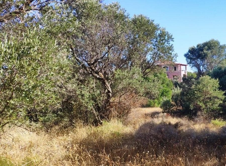 Building Plot in Agios Minas, Chios — Photo 4 of 7