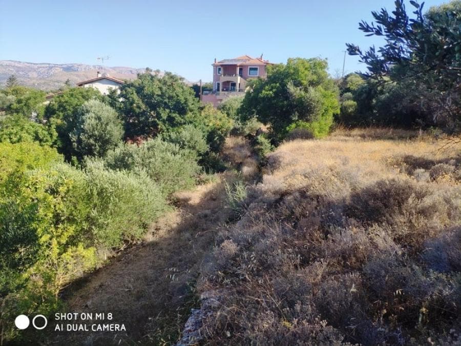 Building Plot in Agios Minas, Chios — Photo 5 of 7