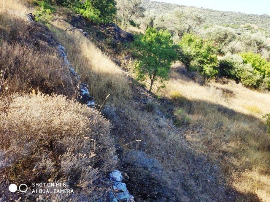 Building Plot in Agios Minas, Chios — Photo 6 of 7